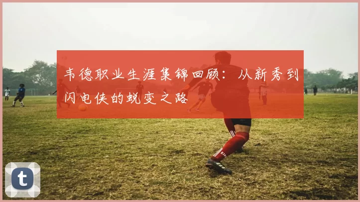 韦德职业生涯集锦回顾：从新秀到闪电侠的蜕变之路
