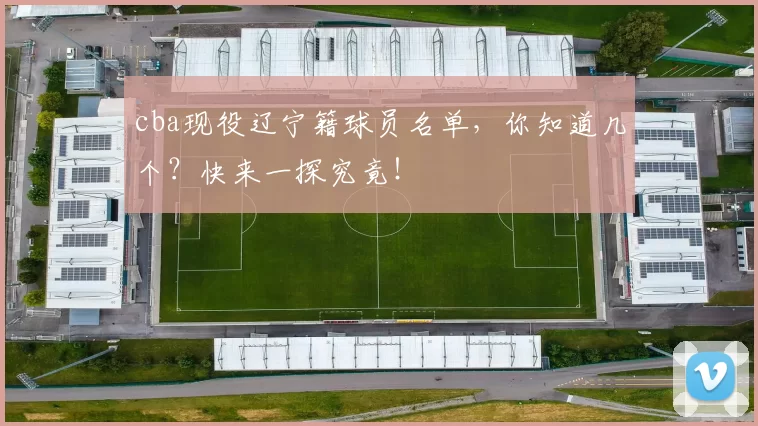 cba现役辽宁籍球员名单，你知道几个？快来一探究竟！