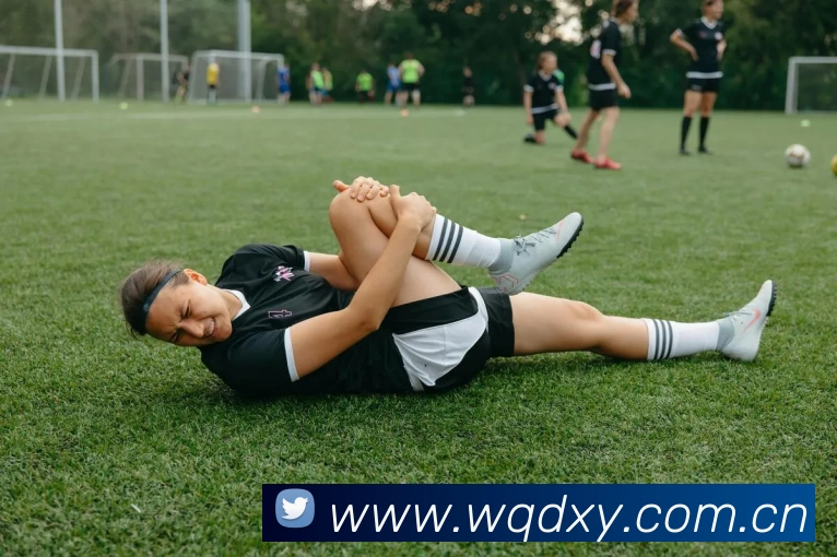 多媒体互动体验